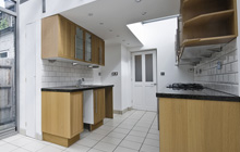Wallington kitchen extension leads